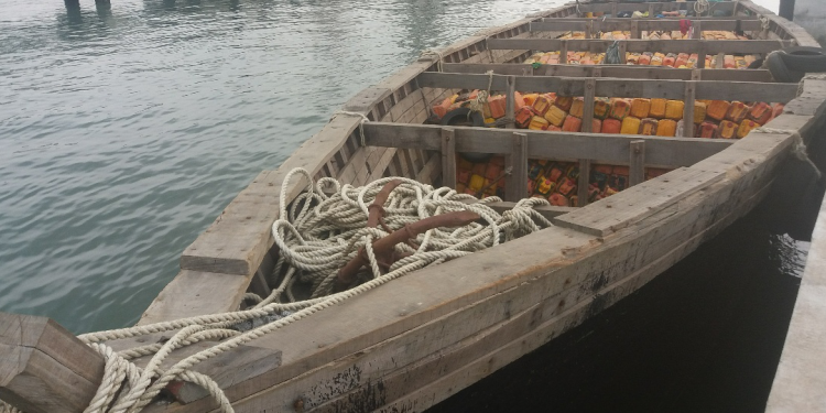 Troops opened fire on oil thieves, not cargo: DHQ