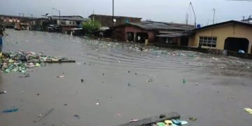 Flood-prone communities in Niger should relocate: NSEMA