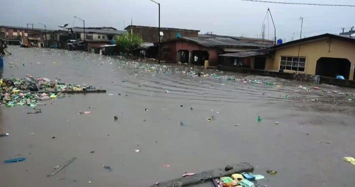 Flood-prone communities in Niger should relocate: NSEMA