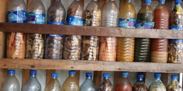 NAFDAC to clamp down on herbal concoction dealers