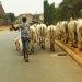 Buhari regime partners Yobe to establish N12 billion herdsmen livestock centres
