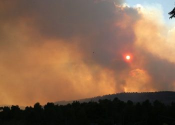 Israel mulls calling for int’l help to curb massive wildfire