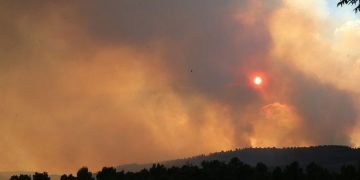 Israel mulls calling for int’l help to curb massive wildfire