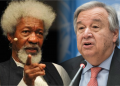 We’re working with UN to seize parts of Nigeria from Buhari’s control: Wole Soyinka