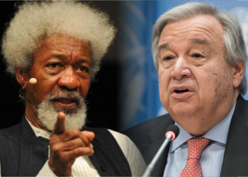 We’re working with UN to seize parts of Nigeria from Buhari’s control: Wole Soyinka