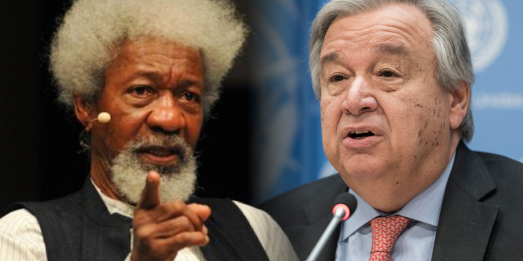 We’re working with UN to seize parts of Nigeria from Buhari’s control: Wole Soyinka