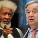 We’re working with UN to seize parts of Nigeria from Buhari’s control: Wole Soyinka