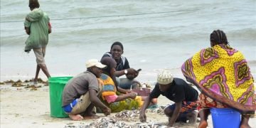 Blast fishing by Tanzanian fishermen endangers marine life in Indian Ocean