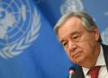 Nigerians need urgent help to avert worst food crisis in four years: UN