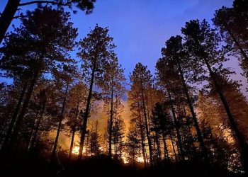 Wildfires, high temperatures strike Sicily, Italy