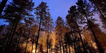 Wildfires, high temperatures strike Sicily, Italy