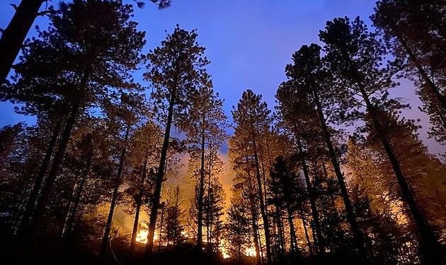 Wildfires, high temperatures strike Sicily, Italy