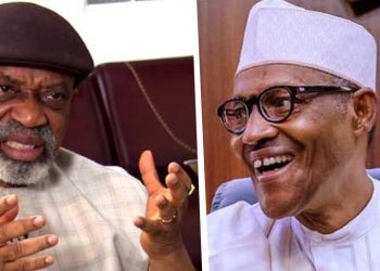 Hazard Allowance: Buhari will pay if there’s money, says Ngige