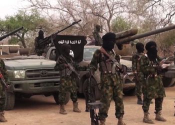 More than 8,000 Boko Haram terrorists have surrendered: FG