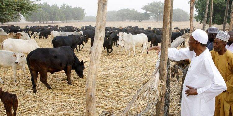 Nigeria’s economy booming because people went back to farm: Buhari