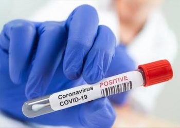 New Zealand’s COVID-19 cases spike again