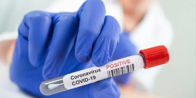 New Zealand’s COVID-19 cases spike again