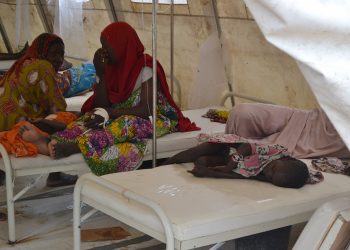 Cholera kills 2,141 Nigerians, country monitoring 65,145 ‘suspected’ cases