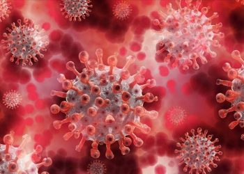 South Africa records 431 new COVID deaths