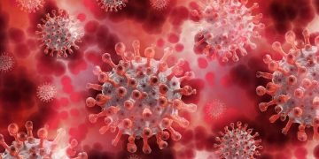 South Africa records 431 new COVID deaths
