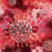 South Africa records 431 new COVID deaths