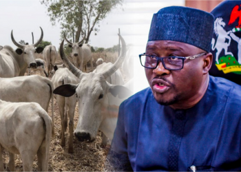 Adamawa does not generate 20% of its FAAC allocation: Commissioner