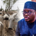 Adamawa does not generate 20% of its FAAC allocation: Commissioner