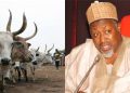 Jigawa to expand grazing reserves, build nomadic schools for herdsmen