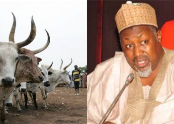 Jigawa to expand grazing reserves, build nomadic schools for herdsmen