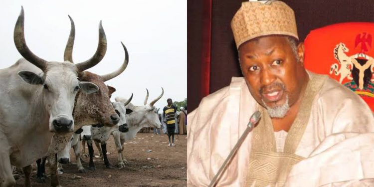 Jigawa to expand grazing reserves, build nomadic schools for herdsmen