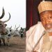 Jigawa to expand grazing reserves, build nomadic schools for herdsmen