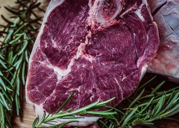 Gulf citizens told to get used to lab-grown meat