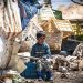 500,000 families in Lebanon to receive monthly cash payments