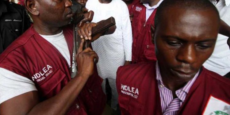 NDLEA seizes 3.3 metric tons of drugs across Nigeria: Official