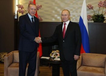 Peace in Syria depends on Turkey-Russia ties: Erdogan