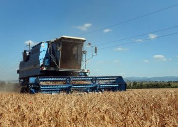 Russia’s Crimea looks to African markets for agricultural trade