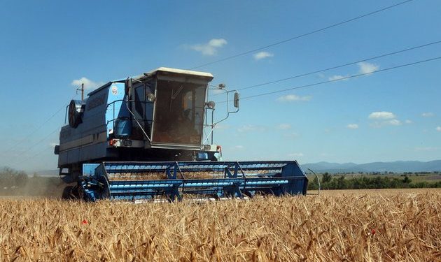 Russia’s Crimea looks to African markets for agricultural trade