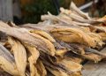 Forex ban affecting price of stockfish in Nigeria: Norwegian envoy