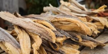 Forex ban affecting price of stockfish in Nigeria: Norwegian envoy