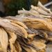 Forex ban affecting price of stockfish in Nigeria: Norwegian envoy