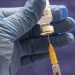 COVAX eyes vaccines for only 20% of people in poorer nations this year