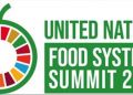 Africa to speak with one voice at UN food summit