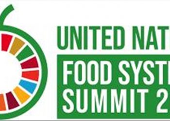 Africa to speak with one voice at UN food summit
