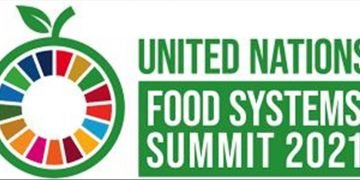 Africa to speak with one voice at UN food summit