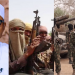 U.S. confirms Boko Haram, bandits working together to extort Buhari regime