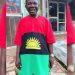 Actor Chiwetalu Agu released from SSS custody