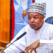 Pandora Papers: Gov. Bagudu says APC governors committed to reducing poverty