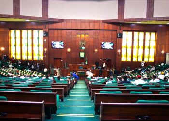 AnambraDecides: Reps ask NSA to curtail killings ahead of election