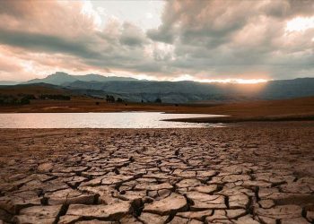 Drought limits over 200,000 people in Kenya to one meal a day