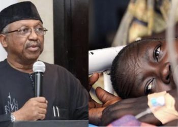 Vaccines and Nigeria’s march towards malaria eradication